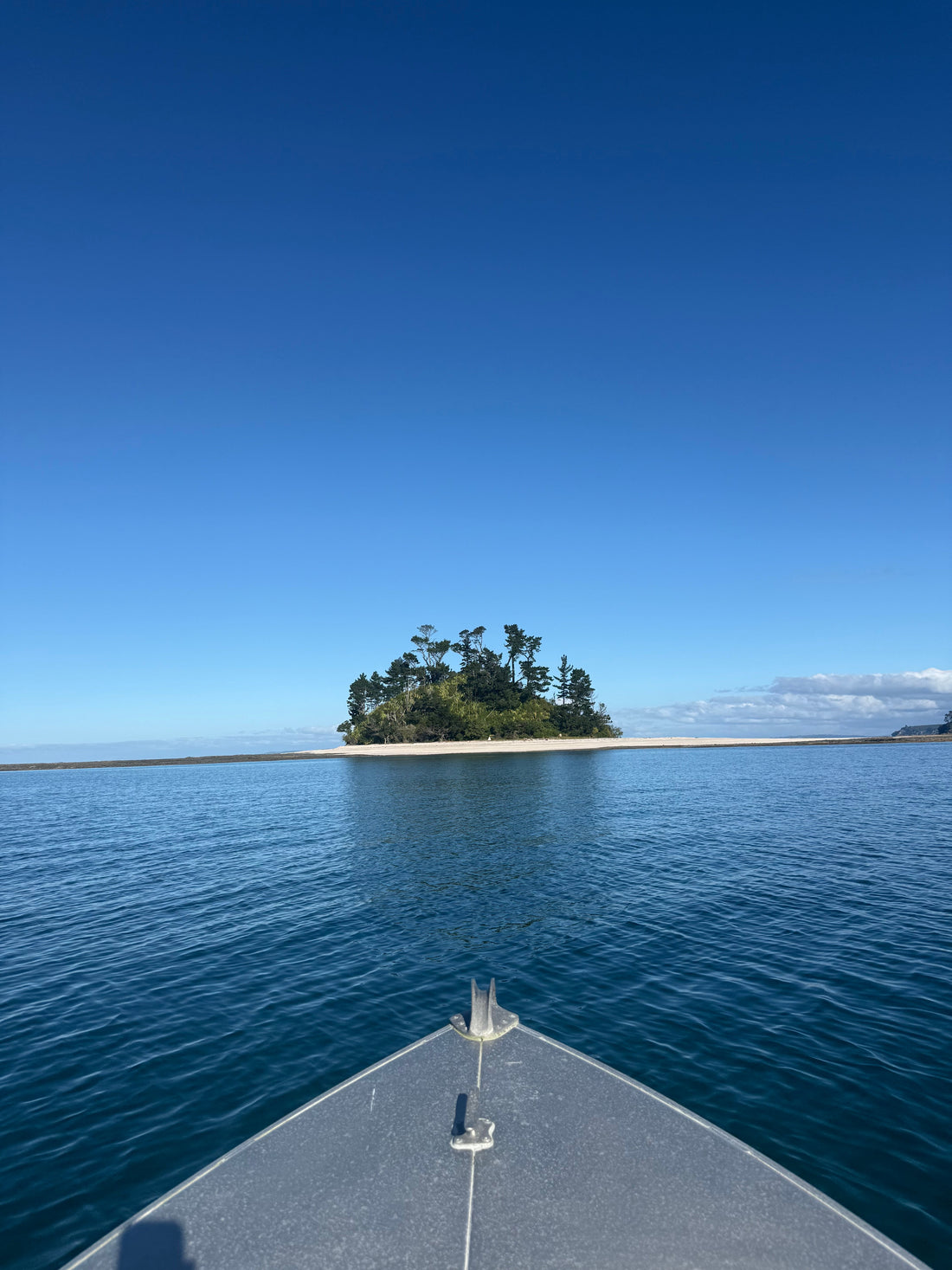 Blue Mind: Finding Peace by the Water