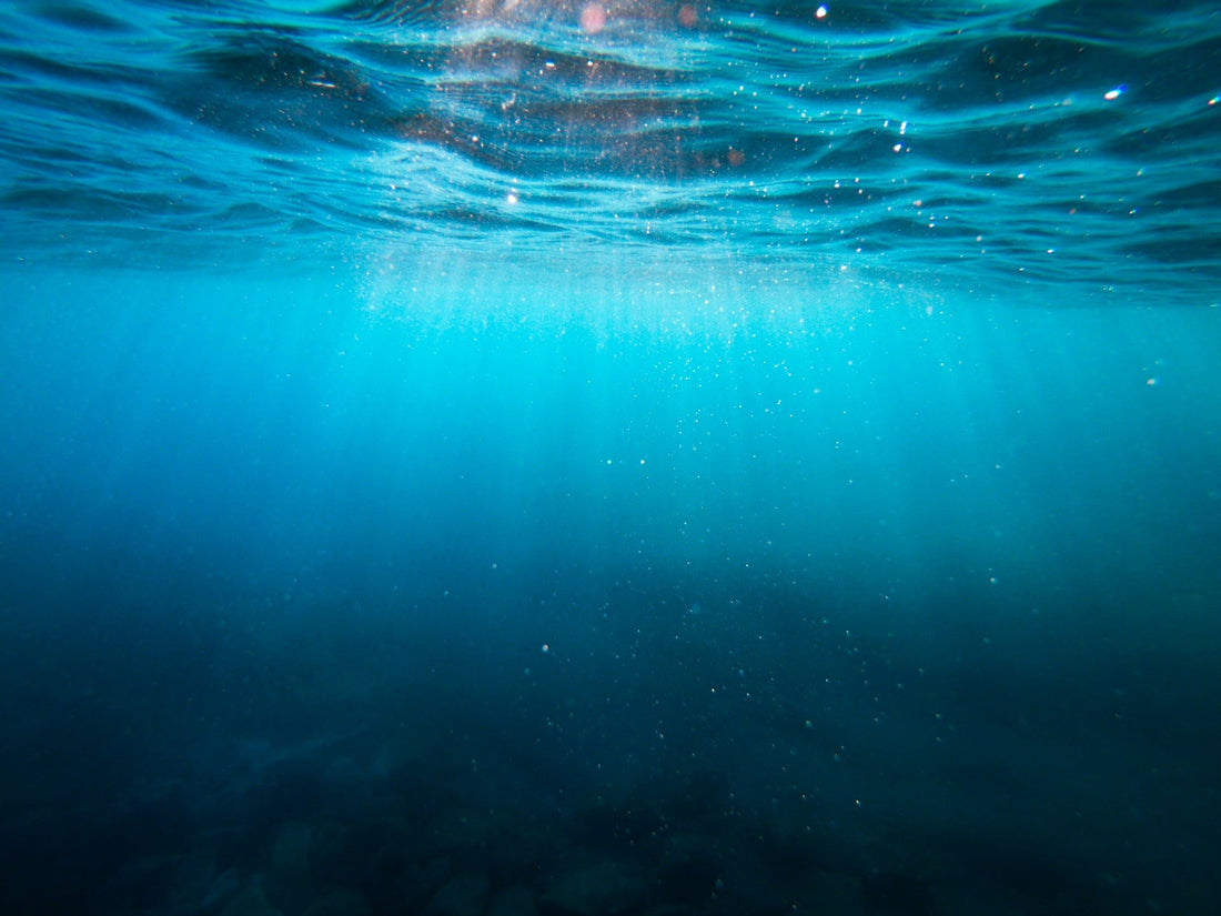 Blue Mind: Finding Peace by the Water