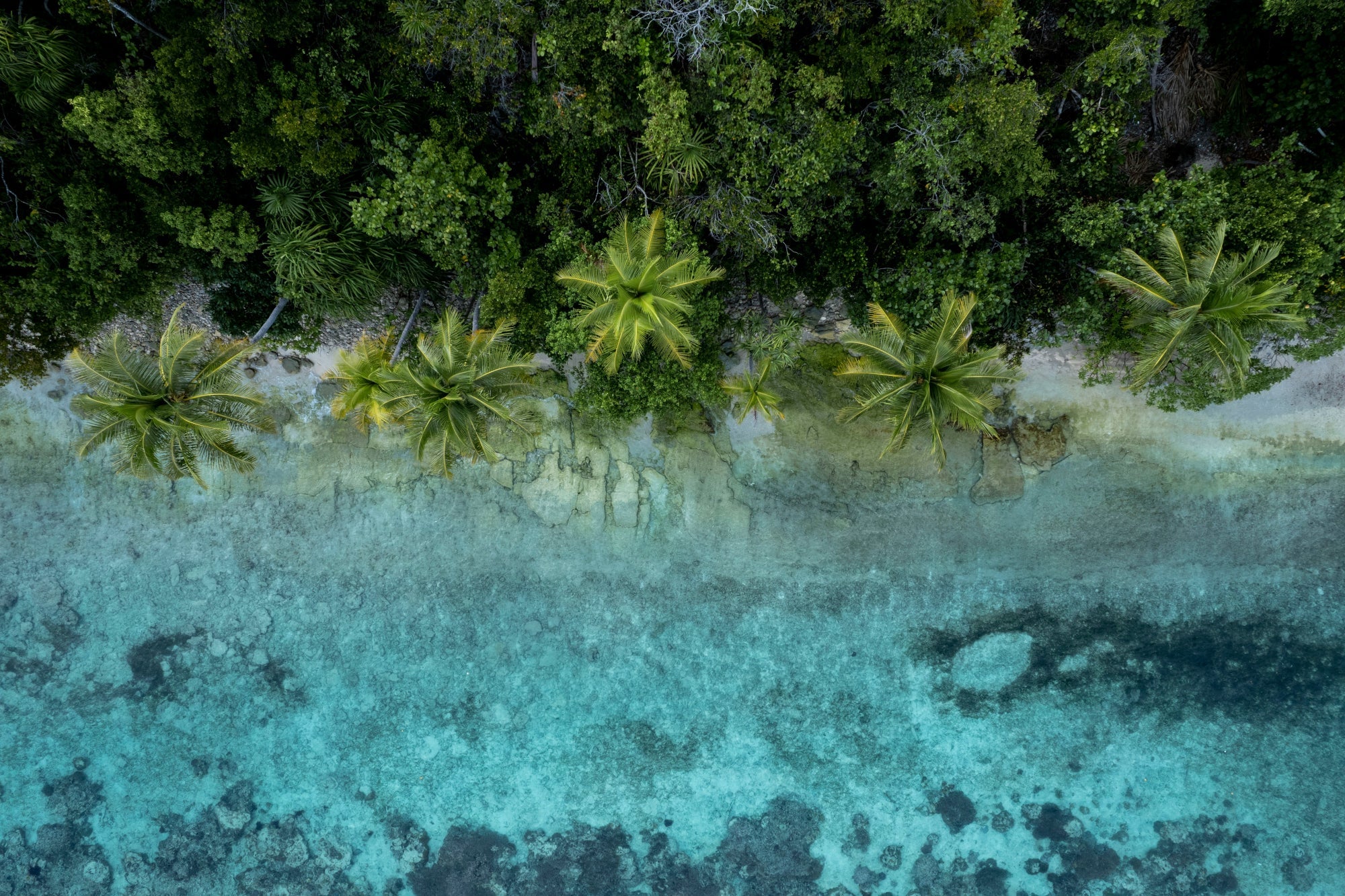 Islands Collection