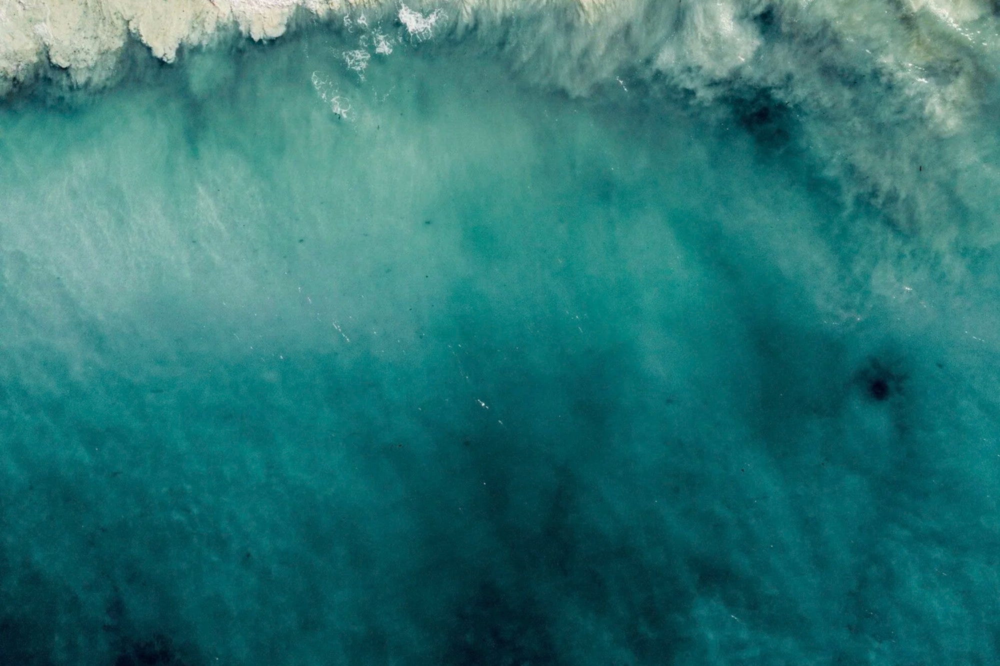 Oceans Collection