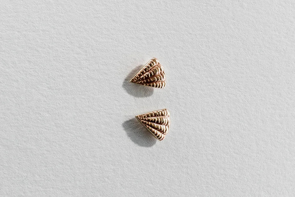 Scallop Stud Earrings - 9ct Gold