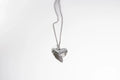 Shark Tooth Necklace - Sterling Silver