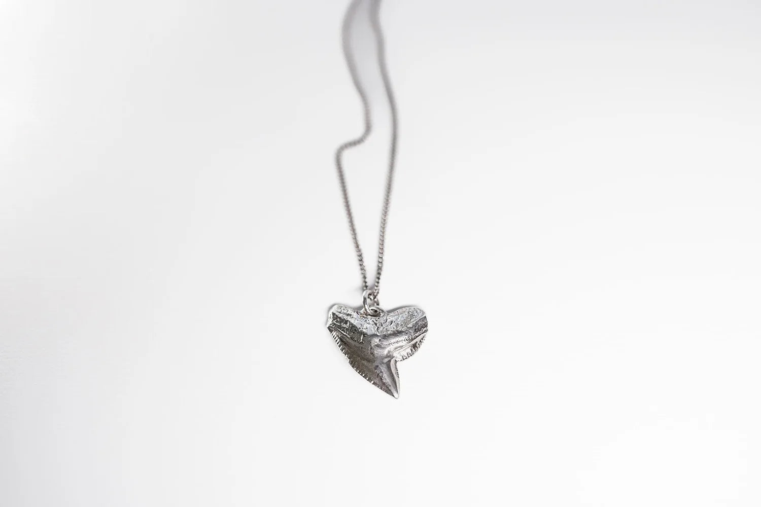 Shark Tooth Necklace - Sterling Silver